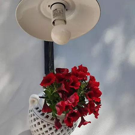 Casedda Ostunese * Ostuni