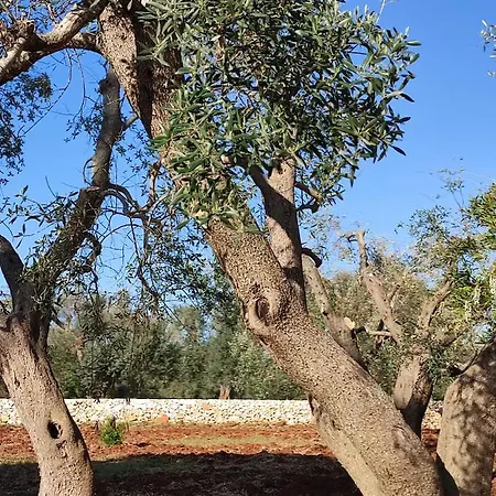 Casedda Ostunese Lägenhet Ostuni