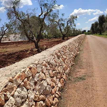 Casedda Ostunese * Ostuni